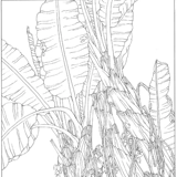 Электронная версия картинка цветок, цветок, птица, птица и птица белый рисунок, драфт, гонгби рисунок китайская линия рисования рисование практические материалы