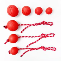 Прыгучий мяч, игрушка с веревкой, домашний питомец, можно грызть