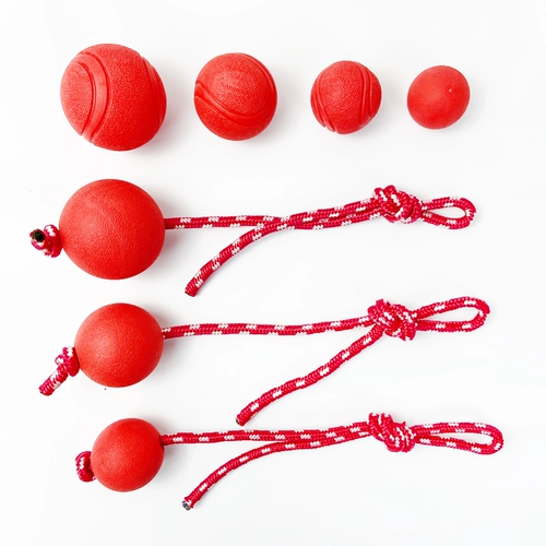 Прыгучий мяч, игрушка с веревкой, домашний питомец, можно грызть