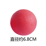 Прыгучий мяч, игрушка с веревкой, домашний питомец, можно грызть