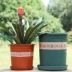 Lọ hoa bằng nhựa chunky gallon hoa cải xanh Vase / Bồn hoa & Kệ
