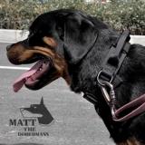 [Dobinste] Тот же собачья тактическая одежда для собак.