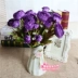 Chất liệu hoa lụa bán buôn hoa để bàn bằng nhựa để bàn mây nhựa cao 17 cm bình hoa màu xanh - Vase / Bồn hoa & Kệ