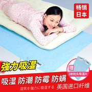 Nhật bản độ ẩm chống ẩm hút ẩm nệm đơn đôi ký túc xá sinh viên phòng ngủ tatami giường trampoline pad
