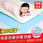 Nhật bản độ ẩm chống ẩm hút ẩm nệm đơn đôi ký túc xá sinh viên phòng ngủ tatami giường trampoline pad