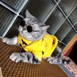 Модные солнцезащитные очки, ожерелье