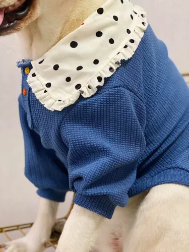 ПЭТ Осень и Зимняя одежда Dot -Collar Collagen Covert Coating крупная собака Лабрадор Золотая шерсть защита от воздуха кондиционер