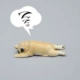 Geye Dog [холодильник] первая бомба с бездействующими животными