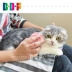 Mèo Beethoven mèo hai mặt chải cao su chải tóc mèo chải tóc mèo chải lông mèo chải lông - Cat / Dog Beauty & Cleaning Supplies