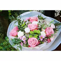 Волшебная граница модель 20 круговые танце