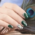 Màu mới Green Jade Agate Cat Eye Glue Goya Nail Nude Gold Gradient Cat Eye Magnet Keo dán móng tay - Sơn móng tay / Móng tay và móng chân
