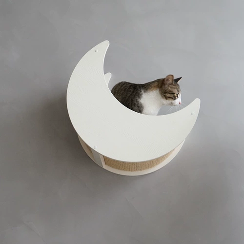 Кошки кошка стена Starry Sky Series Wall Moon Cat West Cloud Duo Duo Cat Star Star Cat Pillar Pillar Cat Jumping Sworksman