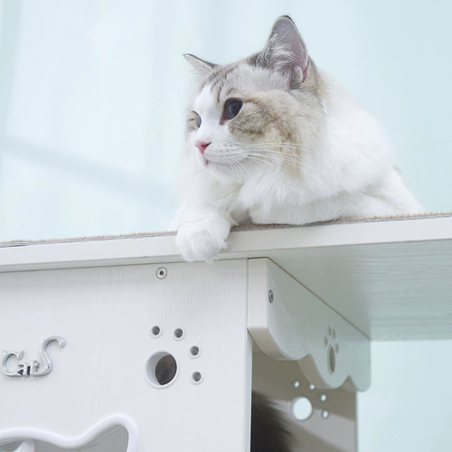Кошки кошки скалолазания полки негабаритный строительный блок кошачий кошка полки мечи и конопля, Тяньчжу кошачье дерево