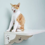 Кошка кошачья мебель кошачья стена серия стены прыжки с твердой древесиной экологическая доска кошачья кошка продукты f Бесплатная доставка