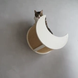 Кошки кошка стена Starry Sky Series Wall Moon Cat West Cloud Duo Duo Cat Star Star Cat Pillar Pillar Cat Jumping Sworksman