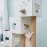 Кошки кошачья мебель шаг за шагом Деревянный кошачий гнездо кошка для кошачья стойка