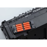 Spot Roland Roland Cube Street ex народная баллада исполняет гитарный динамик Polywood Outdoor Pokemon