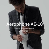 Roland Roland AE-20 AE05 AE01C.