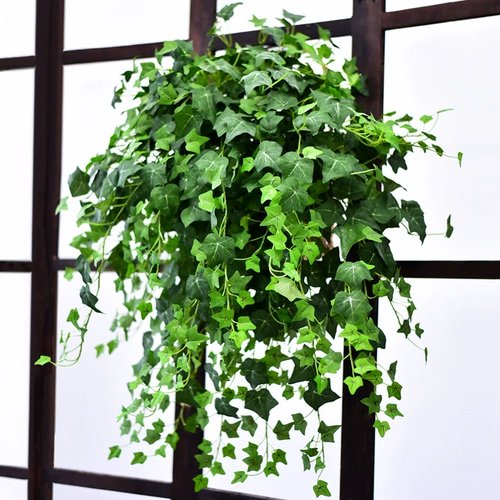 Моделирование changchun vine plant wanging wanging green slaining fake flower -vine