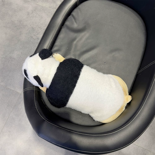 Домашние собаки в осенней и зимней одежде сражаясь с борьбой с снежным барбагбагком Bakka Battle Battle Dog маленький свитер Panda