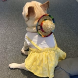 FA Dou Mall Strail Hat Hat Pet Dog Hats