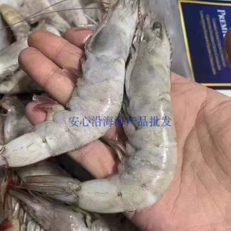 冷冻虾批发
