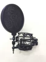 Можно ли использовать микрофон? Пожалуйста, проконсультируйтесь