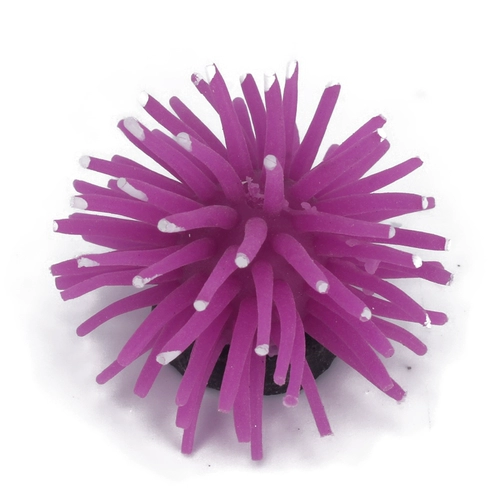 Моделирование рыбного аквариума Sea Erchin Software Software ландшафтное ландшафтное пейзаж для пейзажей водяной этнический ландшафт и украшение 6 вариантов цвета