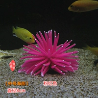 【8 см среднего морского ежа】 розовый