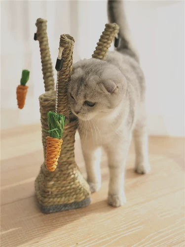 Кошка поднимается на меч конопля веревка кота схватит кошку на полке игрушку для кошки игрушки, конопля для меча, ког