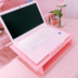 đèn sân khấu mini Cửa hàng bách hóa nữ Pink Notebook Nâng cao DIY Làm mát Máy tính đứng Màn hình đứng - Thiết bị sân khấu đèn led nhà xưởng 150w Thiết bị sân khấu