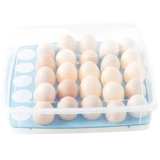Домашняя холодильница яичная коробка яиц яиц фрейлисс.