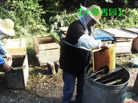 Shenshan Wild Cary Honey Farmers Self -продукция и зрелый сырой медовый мед.