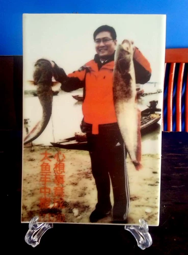 Есть фотографии, чтобы добавить текстовый индивидуальный фарфоровой портретный портретный портретный портретный портретный портретный портретный портретный