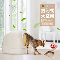 Правильная кошачья кошка с закрытым туалетом для кошачьего туалета с песком с кошачьим кошачьим кошачьем кошачьем дерьмом