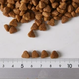 Коррупция кошка-бельгиум производит мяу дада натуральное кошачьи продукты трудовые продукты куриная продуктовая кошка 6 кг2 кг