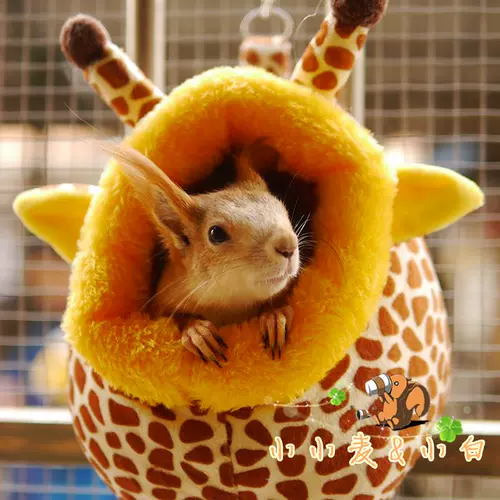 Little Mai Snow Squirrel, Link Rabbit Flower Branch Vange Hedgehog, Hedgehog, мой сосед Тоторо теплый мультфильм густое хлопковое гнездо зимой