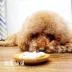 Dog dê sữa canxi máy tính bảng con chó xương sửa chữa canxi taidijinmao con chó trưởng thành pet dog sức khỏe sản phẩm dinh dưỡng