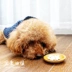 Dog dê sữa canxi máy tính bảng con chó xương sửa chữa canxi taidijinmao con chó trưởng thành pet dog sức khỏe sản phẩm dinh dưỡng