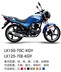 Xe máy Loncin LX125-30L LX150-70C 150-24 theo dõi nắp gốc, đuôi - Xe máy Sopiler khung inox xe grande 2020 Xe máy Sopiler