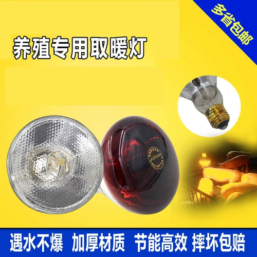 Повышение куриного потепления свиноводной фермы, теплые цыплят, курицу и цыплят с нагревающими световыми саженцами, размножением, нагреванием на гриле, отопление