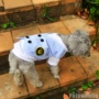 | Pet vest chó T-shirt Quần áo chó Teddy Quần áo cho chó con Quần áo chó nhỏ - Quần áo & phụ kiện thú cưng áo cho chó phốc