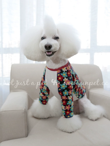 Baojuan Unpeat Pet Dog Одежда японская одежда с длинными рукавами руганная футболка с одеждой для собачьей одежды