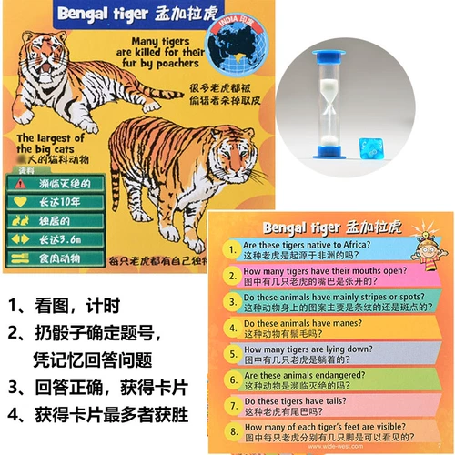 Brain Box Think Cank Brain Board Board Board Box Kids Ying