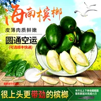 Hainan -рожденные свежие фрукты с фруктами бетель