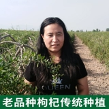 Zhongning Wuyan Dye Farm Wolfberry Gouqi Ningxia Turkic Wolfberry Origin Direct Sales 500G Бесплатная доставка