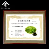 Beichuan Banbingwei Matcha Powder Порошок домашний матча жареный молоко чай с железным тортом десерт ингредиенты сырье 100 г в прошлом