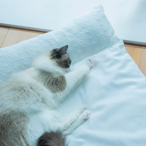 Petman Pet Sleep Sleepmion Cats and Dog Mats в летнем прохладе, оригинальная оригинальная подушка Four Seasons беспрецедентная стиральная сеть красного