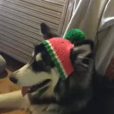 Плетеная демисезонная удерживающая тепло шерстяная шапка, подходит для подростков