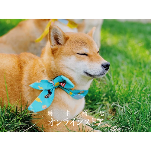 Хепберн Магазин Бесконечный летний охлаждение домашних животных с ледяным шарфом на открытом воздухе.